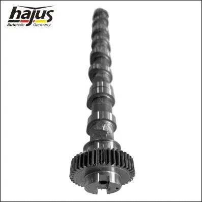Camshaft (1091062)