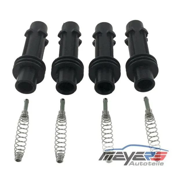 Plug, spark plug