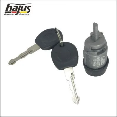 Lock Cylinder, ignition lock