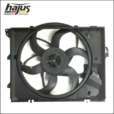 Fan, engine cooling (1211344)