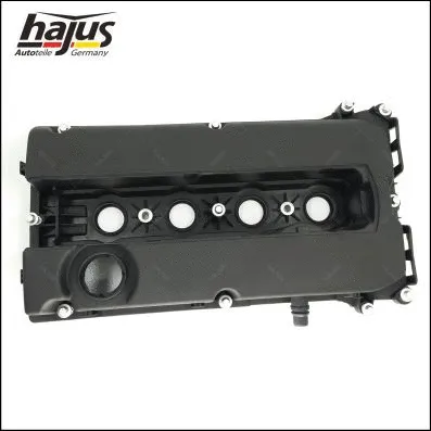 Cylinder Head Cover (1031001)
