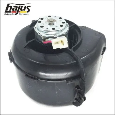 Interior Blower