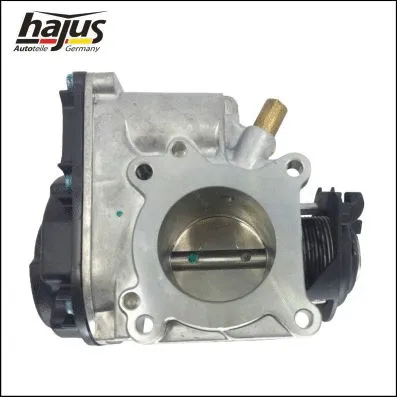 Throttle Body (1311013)