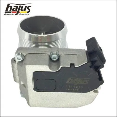 Throttle Body (1311035)