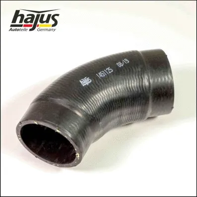 Charge Air Hose (1451125)