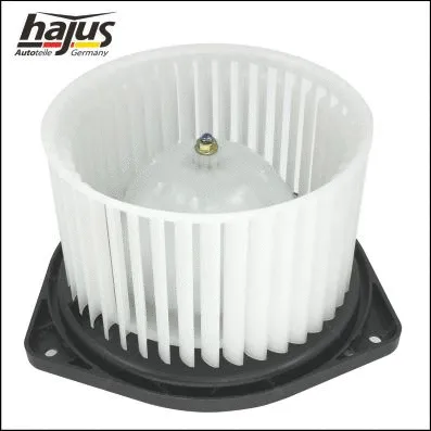 Interior Blower