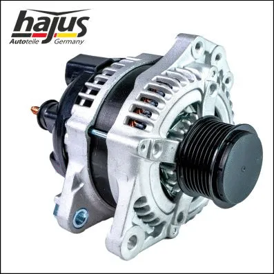 Alternator (9061001)