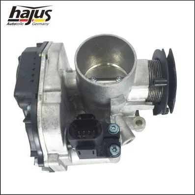 Throttle Body (1311012)