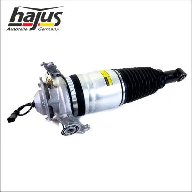 Air Suspension Strut (4121111)