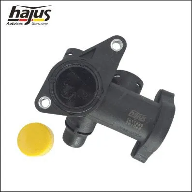 Coolant Flange