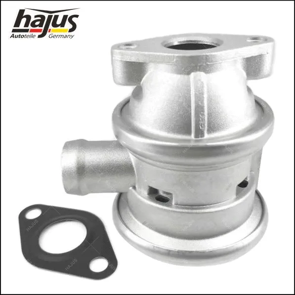 Valve, secondary air system (9191341)