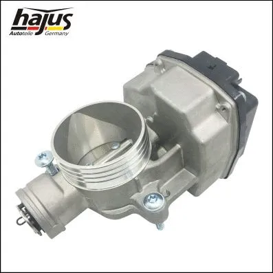 Throttle Body (1311087)