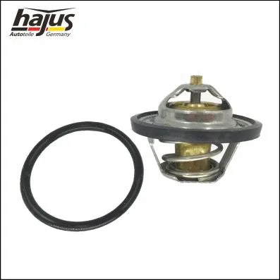 Thermostat, coolant (1211172)