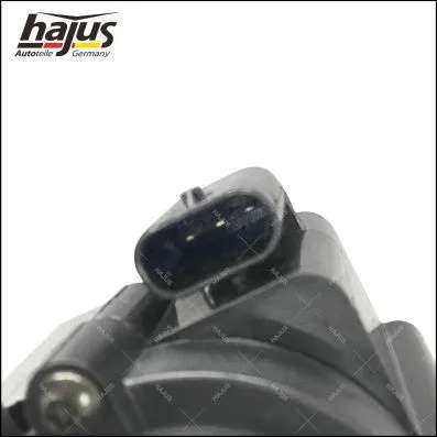 Auxiliary Water Pump (heating water circuit)