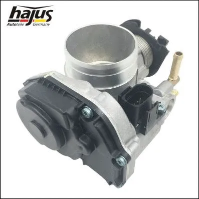 Throttle Body (1311085)