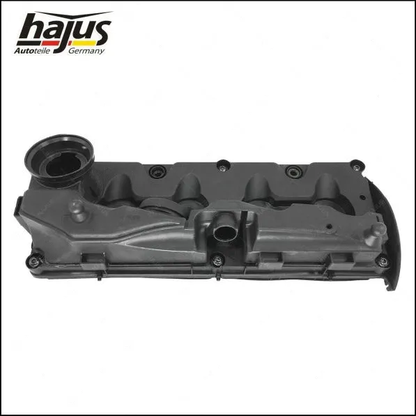 Cylinder Head Cover (1031010)