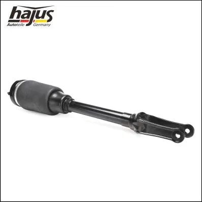 Air Suspension Strut