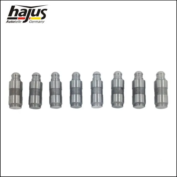 Valve Tappet Set