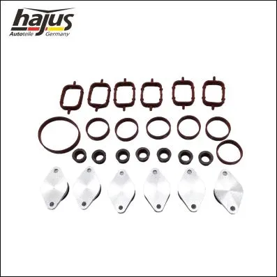 Gasket Set, intake manifold (2511047)