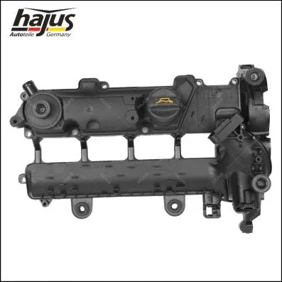 Cylinder Head Cover (1031026)