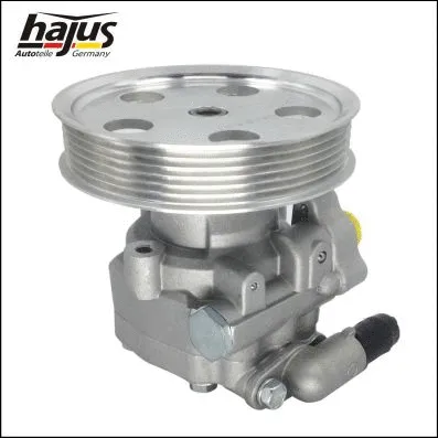 Hydraulic Pump, steering (4221024)