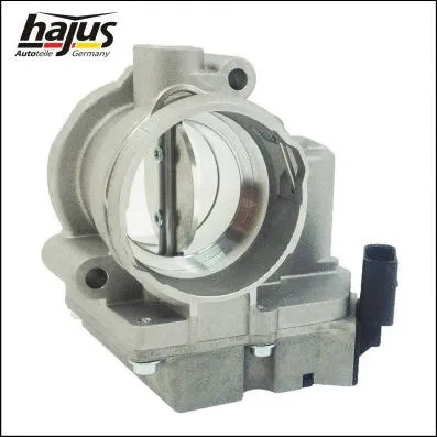 Throttle Body (1311037)