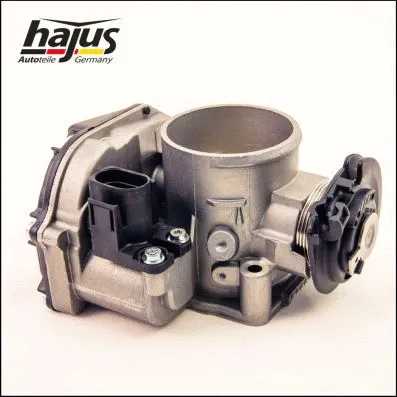Throttle Body (1311066)