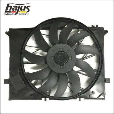Fan, engine cooling (1211336)