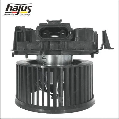 Interior Blower