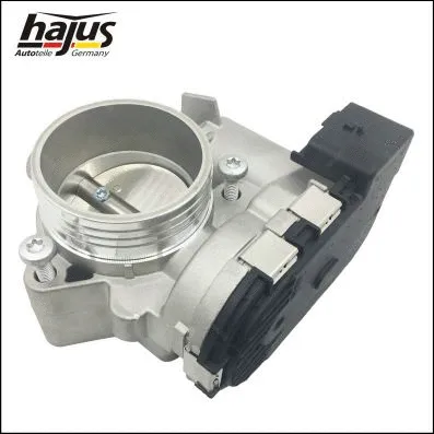Throttle Body (1311088)