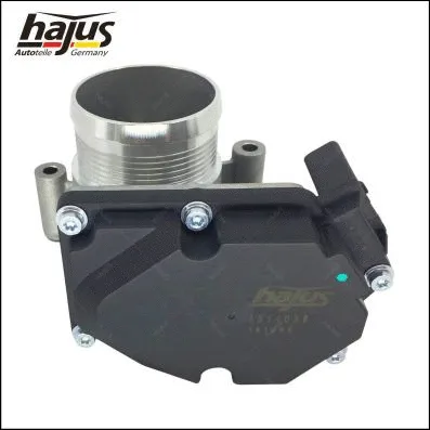 Throttle Body (1311038)