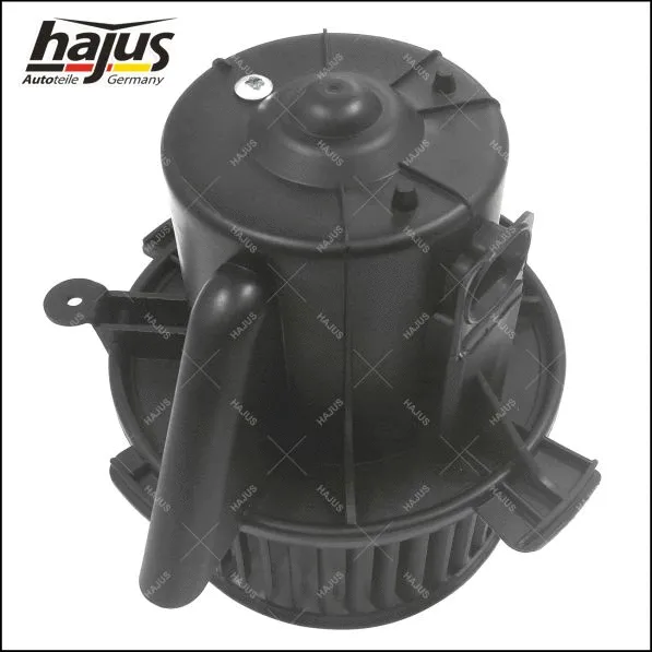 Interior Blower
