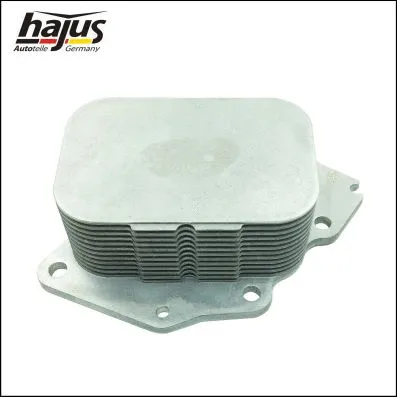Oil Cooler, engine oil (1211121)