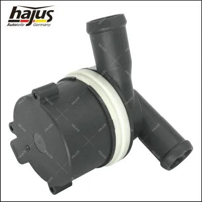 Auxiliary Water Pump (heating water circuit)