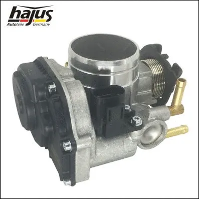 Throttle Body (1311063)