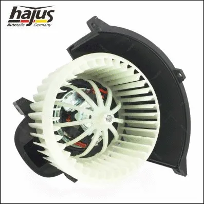 Interior Blower