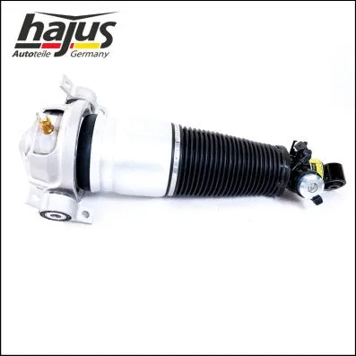 Air Suspension Strut (4121106)