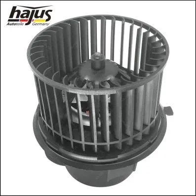 Interior Blower