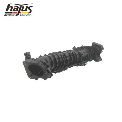 Intake Manifold Module