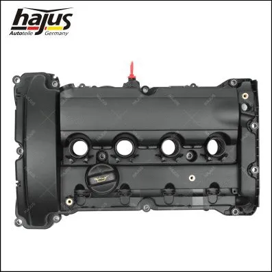 Cylinder Head Cover (1031024)