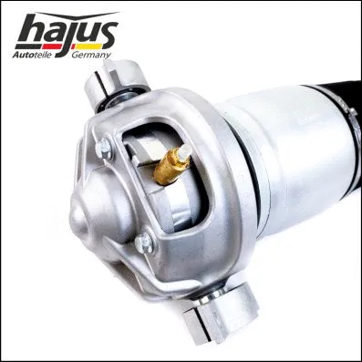 Air Suspension Strut