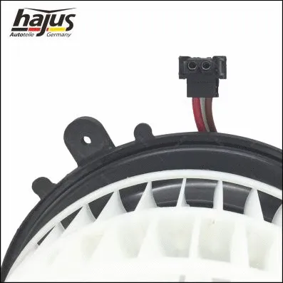 Interior Blower