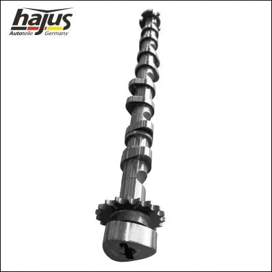 Camshaft (1091059)