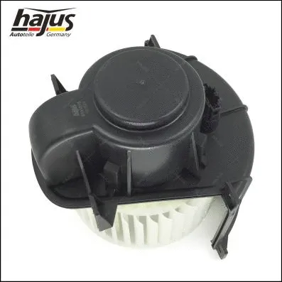 Interior Blower