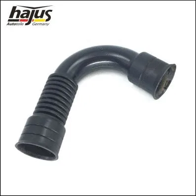 Hose, cylinder head cover ventilation