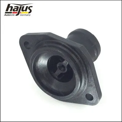Coolant Flange (1211255)