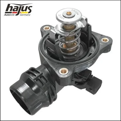 Thermostat, coolant (1211406)