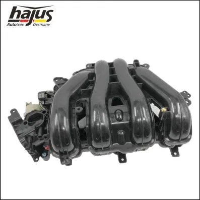 Intake Manifold Module (2511019)