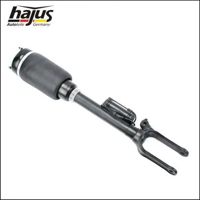 Air Suspension Strut (4121054)