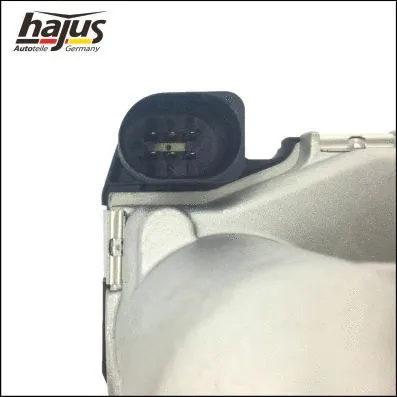 Throttle Body (1311017)